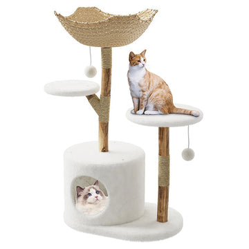 Cat Trees