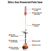Garvee 43CC Gas Powered Pole Chain Saw, 12 Inch Guide Bar, 9.5FT Extendable Reach, Orange, Anti-Vibration, Auto Oiling