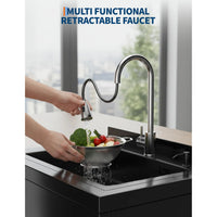 Garvee Stainless Steel Utility Sink with 360° Pull-Out Faucet for Garage Kitchen Bathroom Basement 25.7"x20.7"x39.5" Black