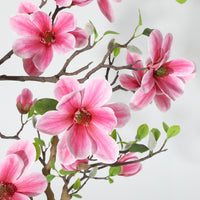 PHK_36RCLGDW