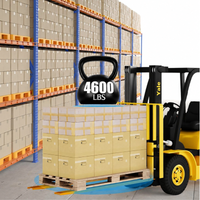 Garvee Pallet Fork Extension, [4.5" Width 60" Length] Heavy Duty Steel Pallet Extensions for Forklift Truck, 4600LBS - Yellow