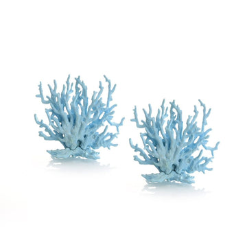 FQZPE_8TB5FOY1