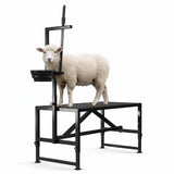 Garvee 47" Sturdy Steel Goat Station with Movable Head and Leg Rests, Feeding Area for Grooming, Shearing, Examining, Milking, Adjustable, Rust-Resistant - Black