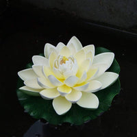 PHO_0BDGRYIR