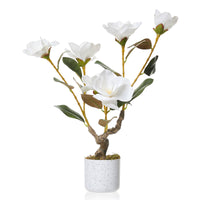 PHK_36EKW5X8