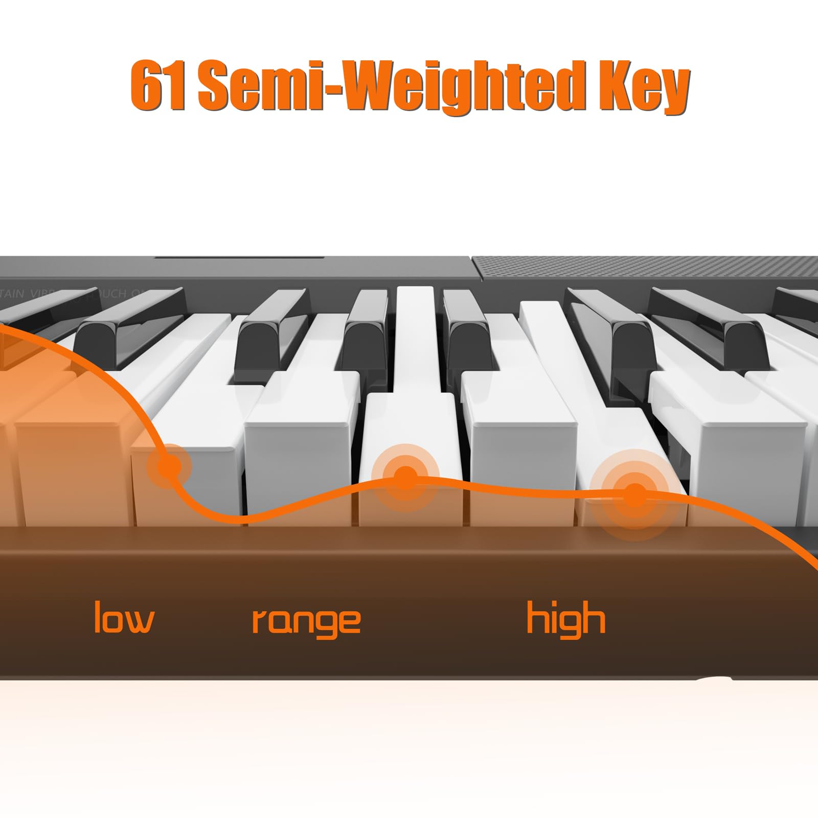 PEL_0QQTRWT6