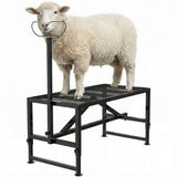 Garvee Goat Milking Stand Adjustable Metal Livestock Stand 47x23 Inch with Headpiece and Nose Loop - Black