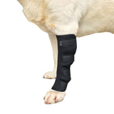 Garvee Canine Dog Hock Joint Support Brace Adjustable Leg Braces for Recovery Pain Relief Neoprene Material Various Sizes - Black