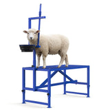 Garvee 47" Sturdy Steel Goat Station with Movable Head and Leg Rests, Feeding Area for Grooming, Shearing, Examining, Milking, Adjustable Size, Rust-Resistant - Blue