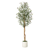 Garvee Artificial Olive Trees 5 ft Tall Faux Olive Trees With Natural Wood Trunks White Planter Indoor Home Decor