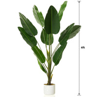 PHK_36FAN65G