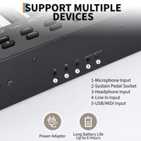PMS_33496LXB