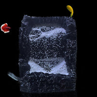 FQZPE_IXOQ1LDX
