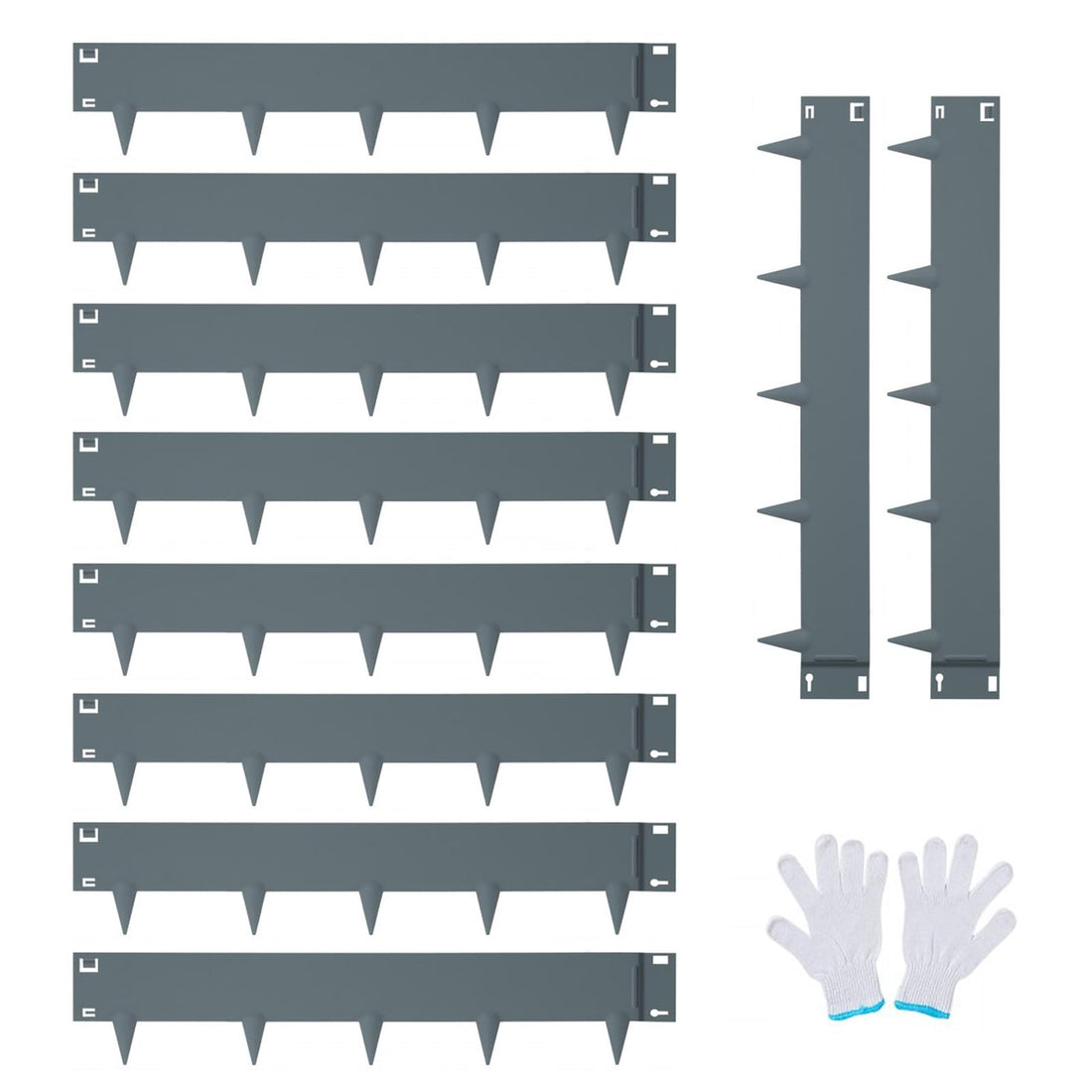 PPG_34B9JGDQ