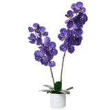Garvee 31" Artificial Orchid Flowers 2 Pack with White Planter for Home Office Decor, Purple, Realistic Faux Phalaenopsis, 14 Bloomings - Purple