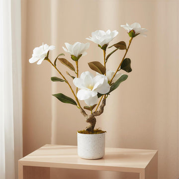 PHK_36EKW5X8