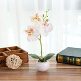 Garvee Artificial Butterfly Orchid Plants in Pot, Faux Bonsai Floral Decor for Home, Garden, Balcony, Computer, Multi-Color
