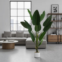 PHK_36FAN65G