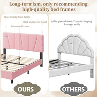 PHK_36HBAYEB