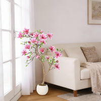 PHK_36RCMJ4T