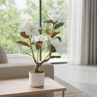 PHK_36EKW5X8