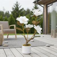 PHK_36EKW5X8