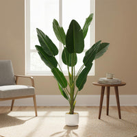 PHK_36FAN65G