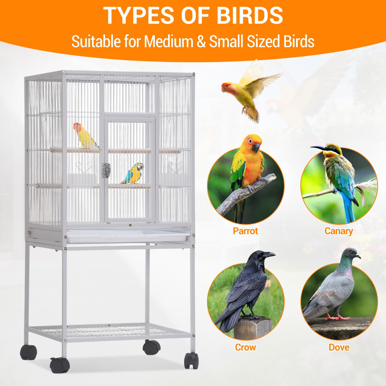 PPS_339HRKML