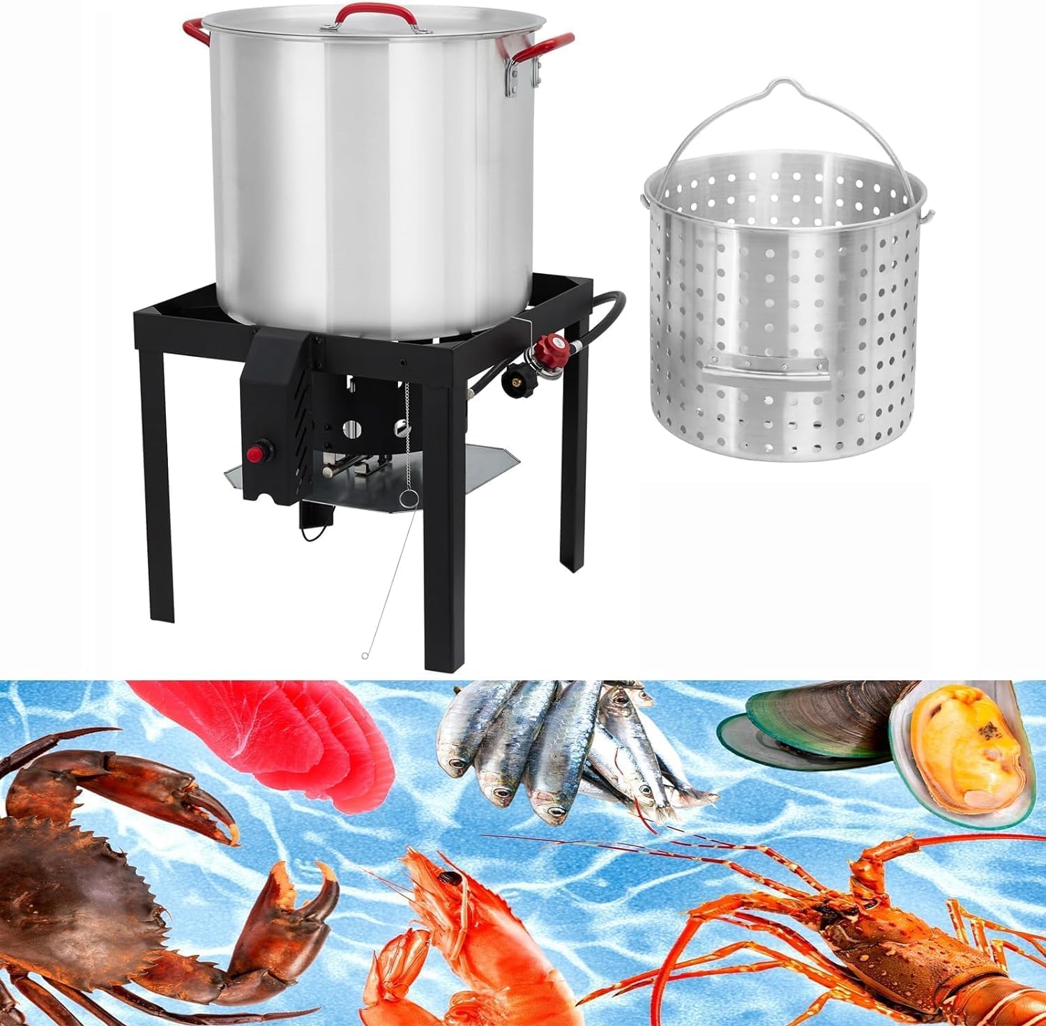 PHO_10SVWQ3T