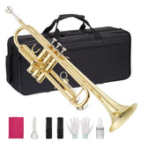 Garvee Premium Brass Trumpet With Nickel Or Lacquer Finish For Practice And Performance, Standard Size, Warm Gold