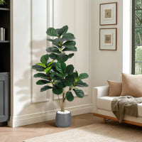 PHK_359KJCG6