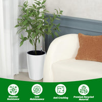 PPG_3467KKQR