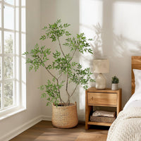 PHK_359MXL6C