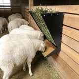 Garvee Wall Mount Hay Feeder 2 in 1 Hay and Grain Livestock Feeder Heavy Duty Galvanized Steel Adjustable Distance Indoor Outdoor - Black