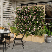 PPG_33D643KG