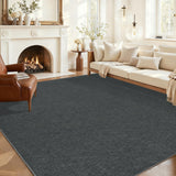 Garvee Modern Solid Washable Rug 8x10 Charcoal Ultra-Thin Non-Slip Non-Shedding Indoor Area Carpet for Living Room Bedroom Office Dining Room - Charcoal