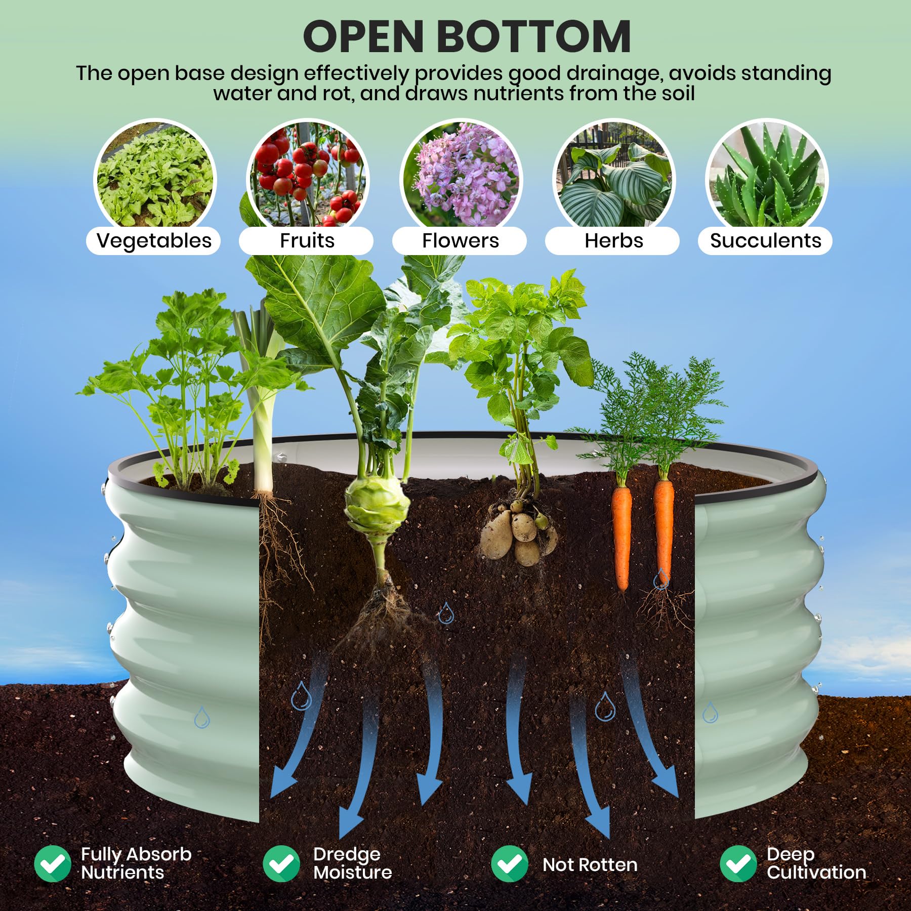PHO_11YOOSC0