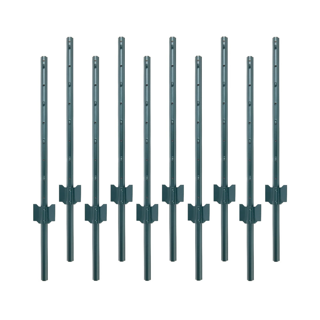 PPG_33LDBVSP