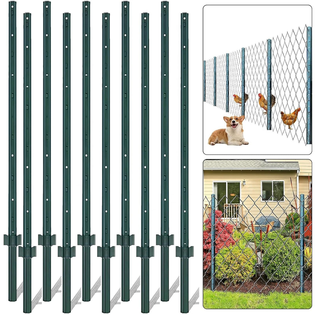 PPG_33LJN7TD