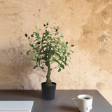 Garvee 60Cm Artificial Olive Trees Set of 2 with Natural Wood-Like Trunks for Indoor and Outdoor Decoration, Green
