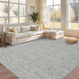 Garvee Area Rugs 5x7 Ft, Washable Living Room Rugs Boho Non-Slip Dining Room Rug Soft Ultra Thin Waffle Print Bedroom Rugs Indoor Floor Carpet for Living Room Bedroom Dining Room, Light Grey - Light Grey