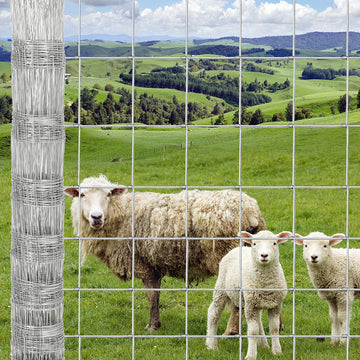 Clôture de ferme bovine Garvee 9GA épaisse et robuste, clôture galvanisée pour chèvres et cerfs, 1,22 m x 50 m, argenté