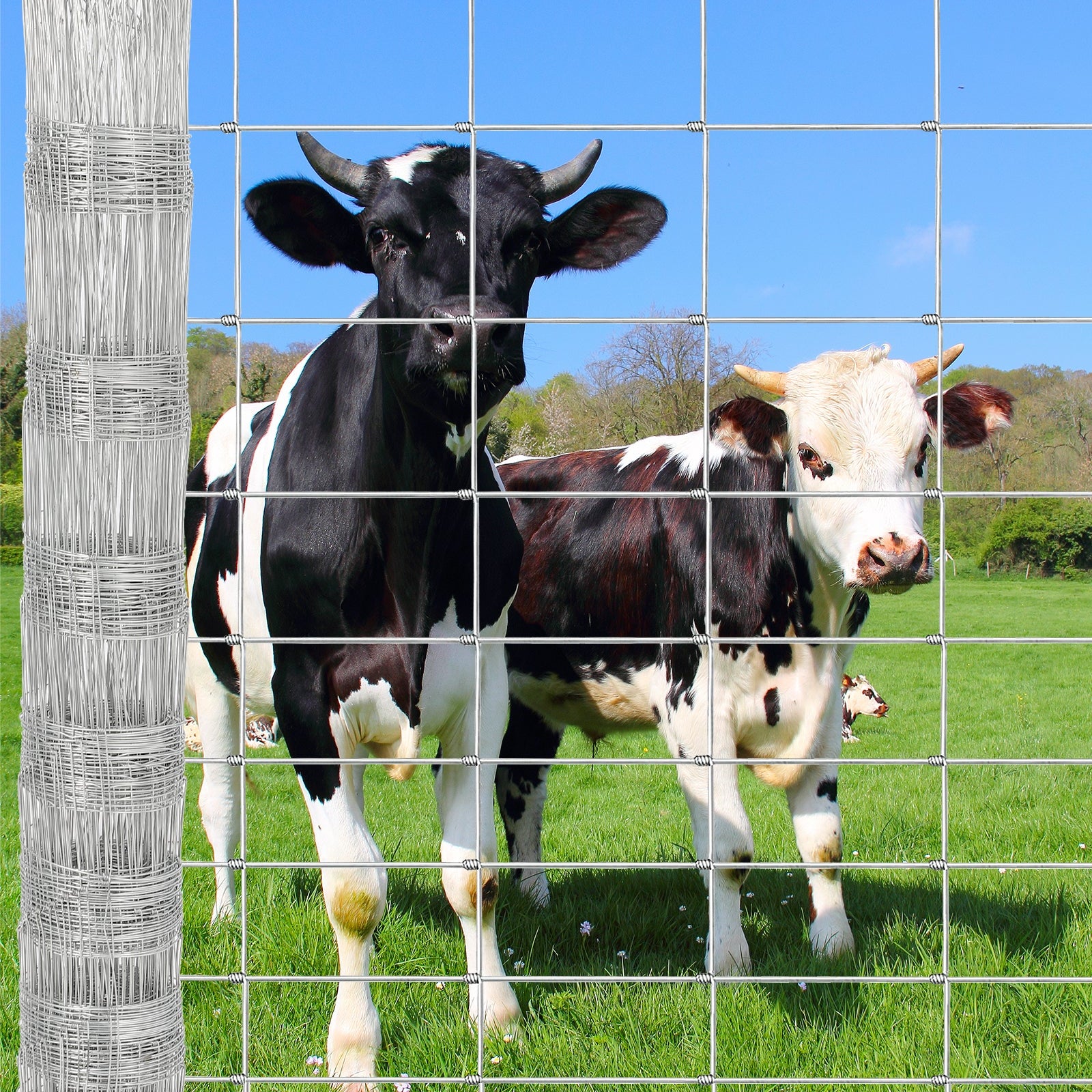Clôture de ferme bovine Garvee 9GA épaisse et robuste, clôture galvanisée pour chèvres et cerfs, 1,22 m x 50 m, argenté