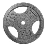 Garvee Cast Iron Weight Plates Set 1 in, 2.5-25 LBS Bumper Plates for Home Gym, Strength Training & Weightlifting, Single, 25 LBS