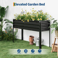 PPG_336ESJBD
