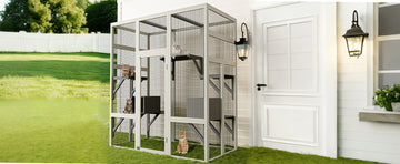 PPS_33B9VAVD