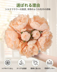 PHK_374YGJV2