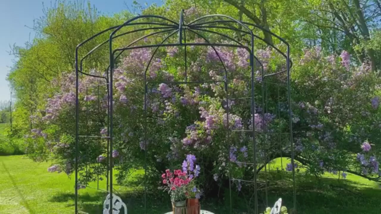 Garvee Arche de Jardin Volière 2,7 m Tonnelle en Métal Résistante à la Rouille Acier Renforcé Élégante pour Plantes Grimpantes Patio Cour Arrière Mariage