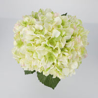 PHK_3754G7DI