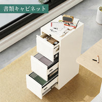 PTH_334J8ZR2